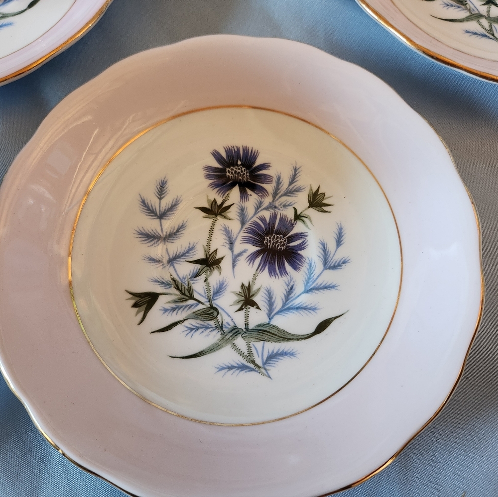 Beautiful Pink Colclough Bone China Cup And Saucers Set Of 8 Made In ENGLAND - Picture 11 of 11